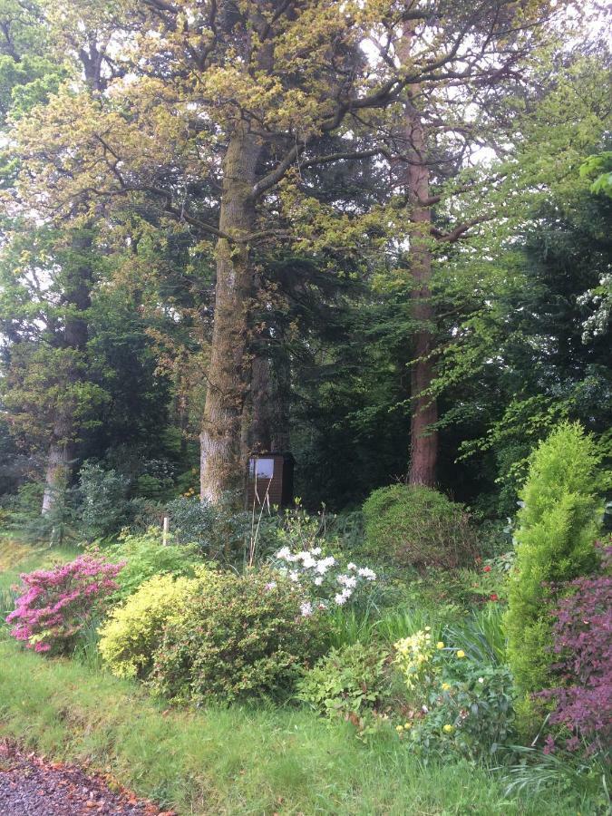 Bed and Breakfast Claremont House Keswick Кесвик Экстерьер фото